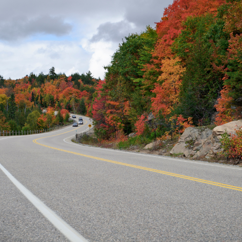 Featured image for “Safe Driving Practices for Fall”
