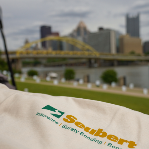 Featured image for “Walking Together for a Cause: Crohn’s & Colitis Take Steps Pittsburgh”